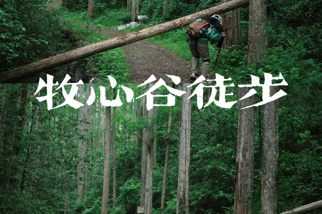 【千岛湖|徒步+骑行2天】5月4-5日，闯入暮光森林@浙版“哀牢山”，千岛湖骑行，划独木舟水上旅行。