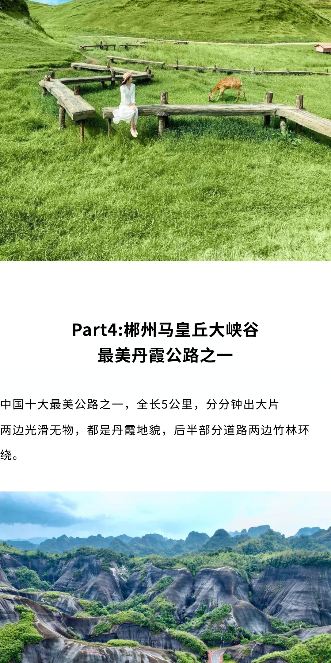 show_688245162_1773716469995_slice_11.jpg show_688245162_1773716469995_slice_11.jpg