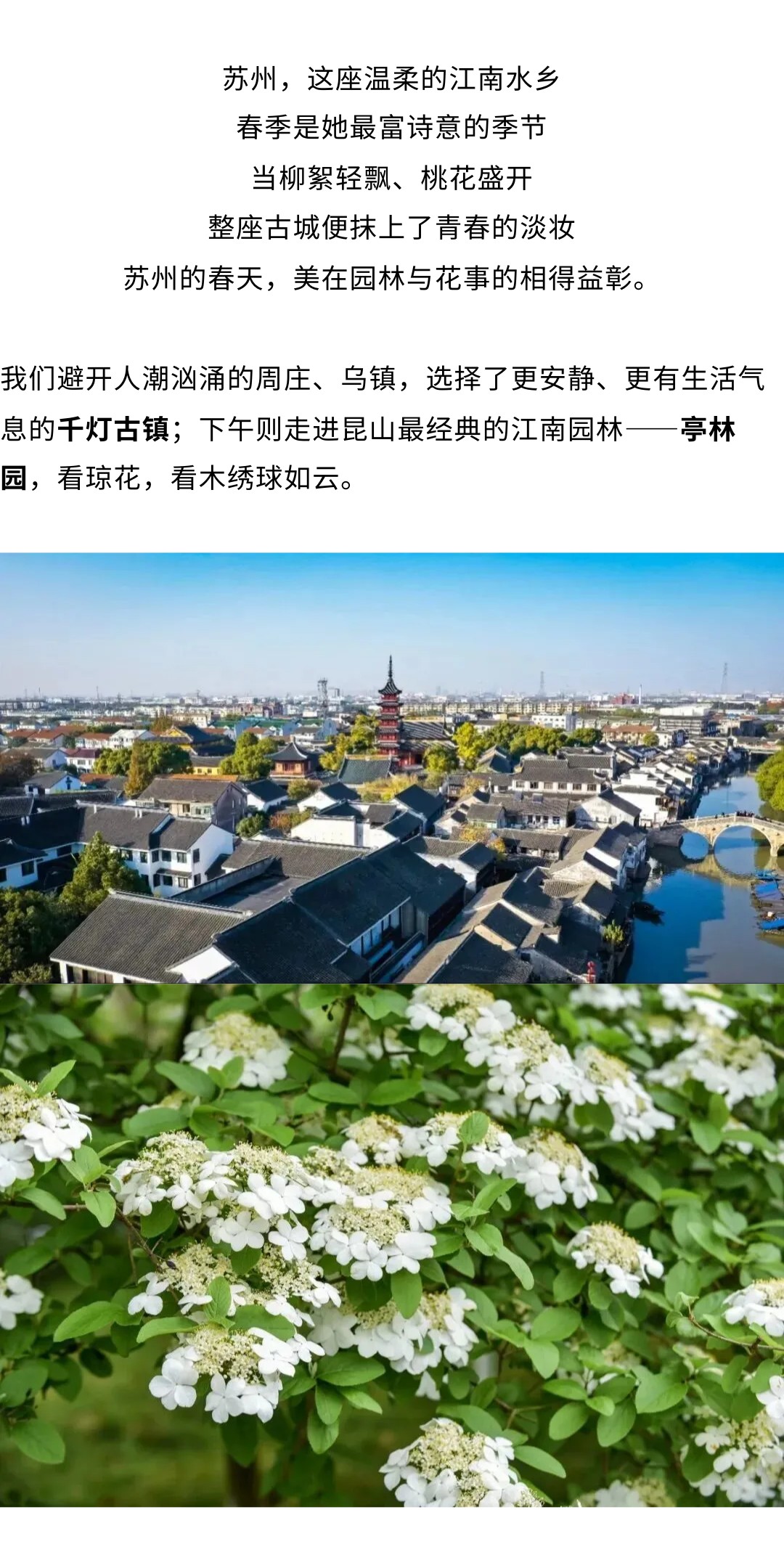 show_692223227_1775113931278_slice_0.jpg show_692223227_1775113931278_slice_0.jpg