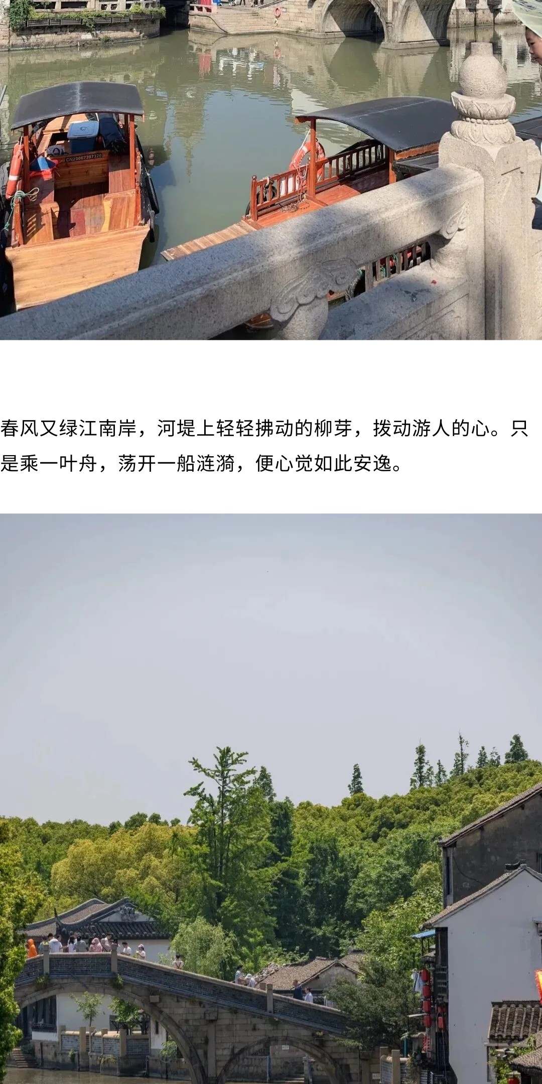 show_692223227_1775113931278_slice_7.jpg show_692223227_1775113931278_slice_7.jpg