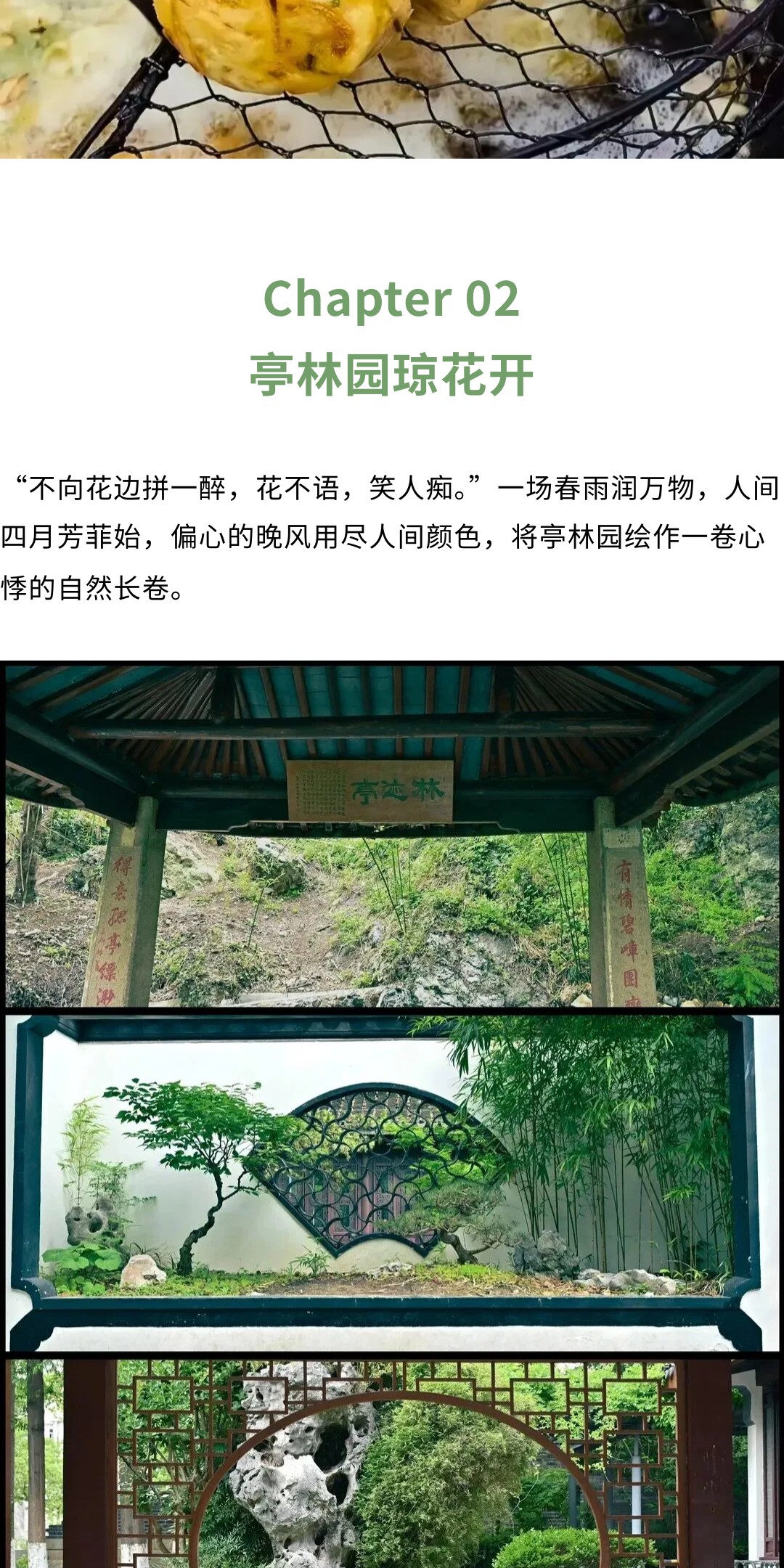 show_692223227_1775113931278_slice_9.jpg show_692223227_1775113931278_slice_9.jpg