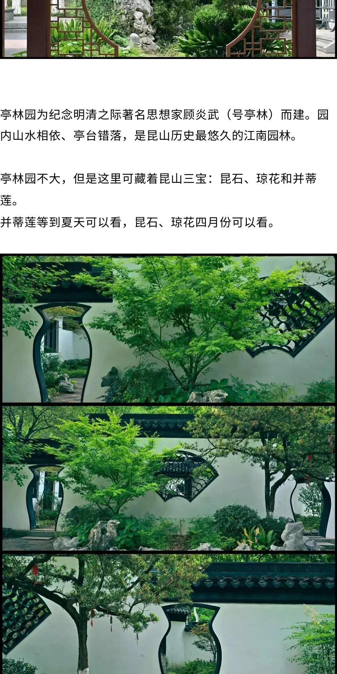 show_692223227_1775113931278_slice_10.jpg show_692223227_1775113931278_slice_10.jpg