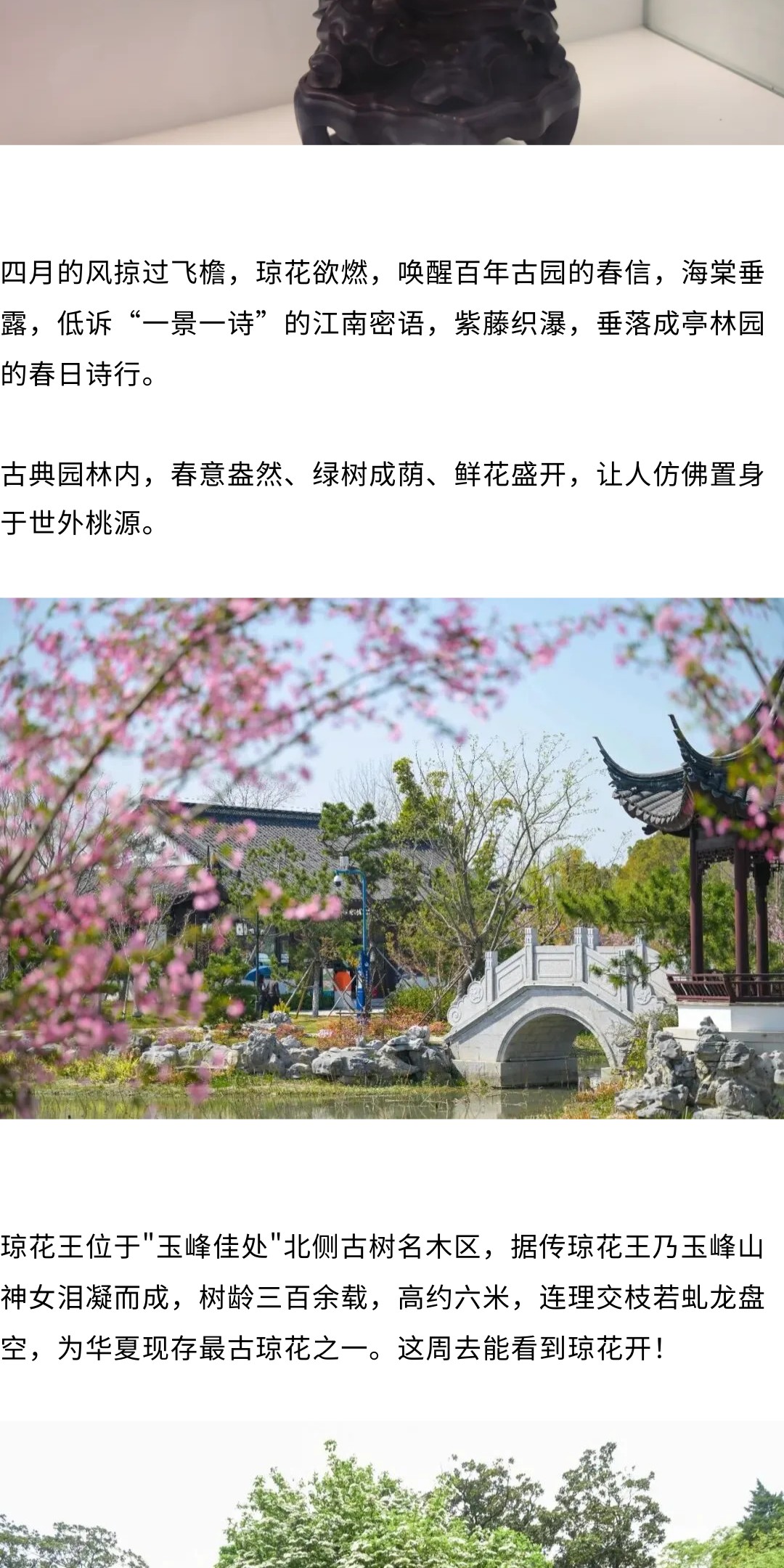 show_692223227_1775113931278_slice_12.jpg show_692223227_1775113931278_slice_12.jpg