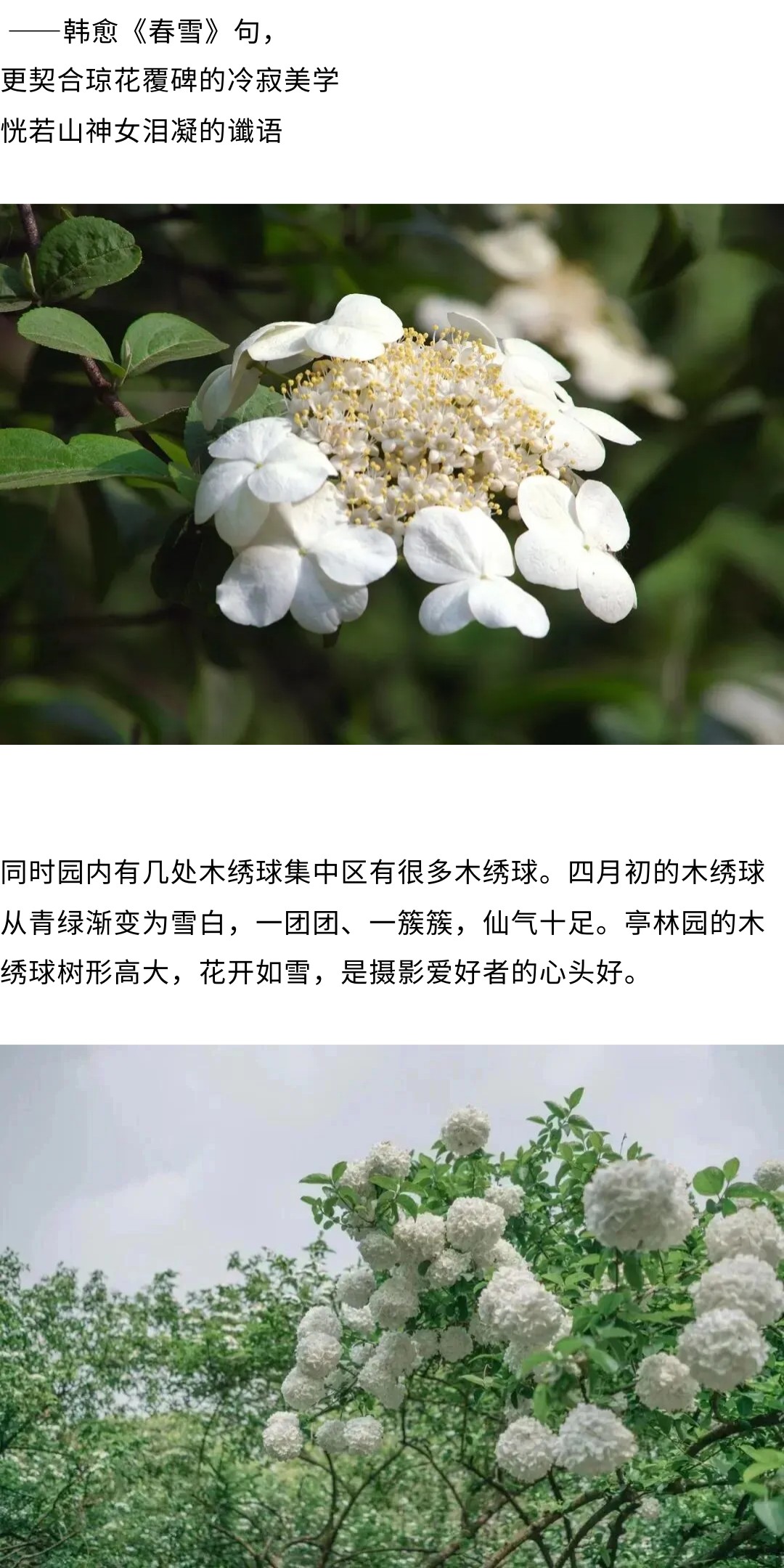 show_692223227_1775113931278_slice_14.jpg show_692223227_1775113931278_slice_14.jpg