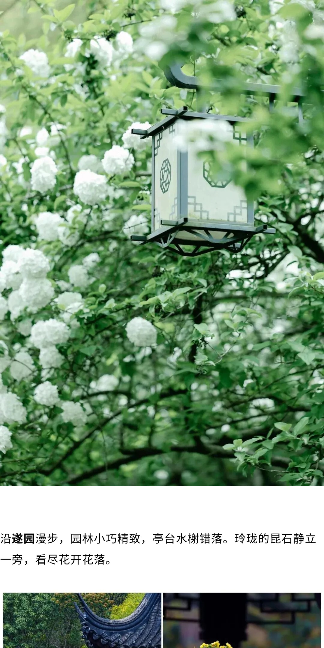 show_692223227_1775113931278_slice_15.jpg show_692223227_1775113931278_slice_15.jpg