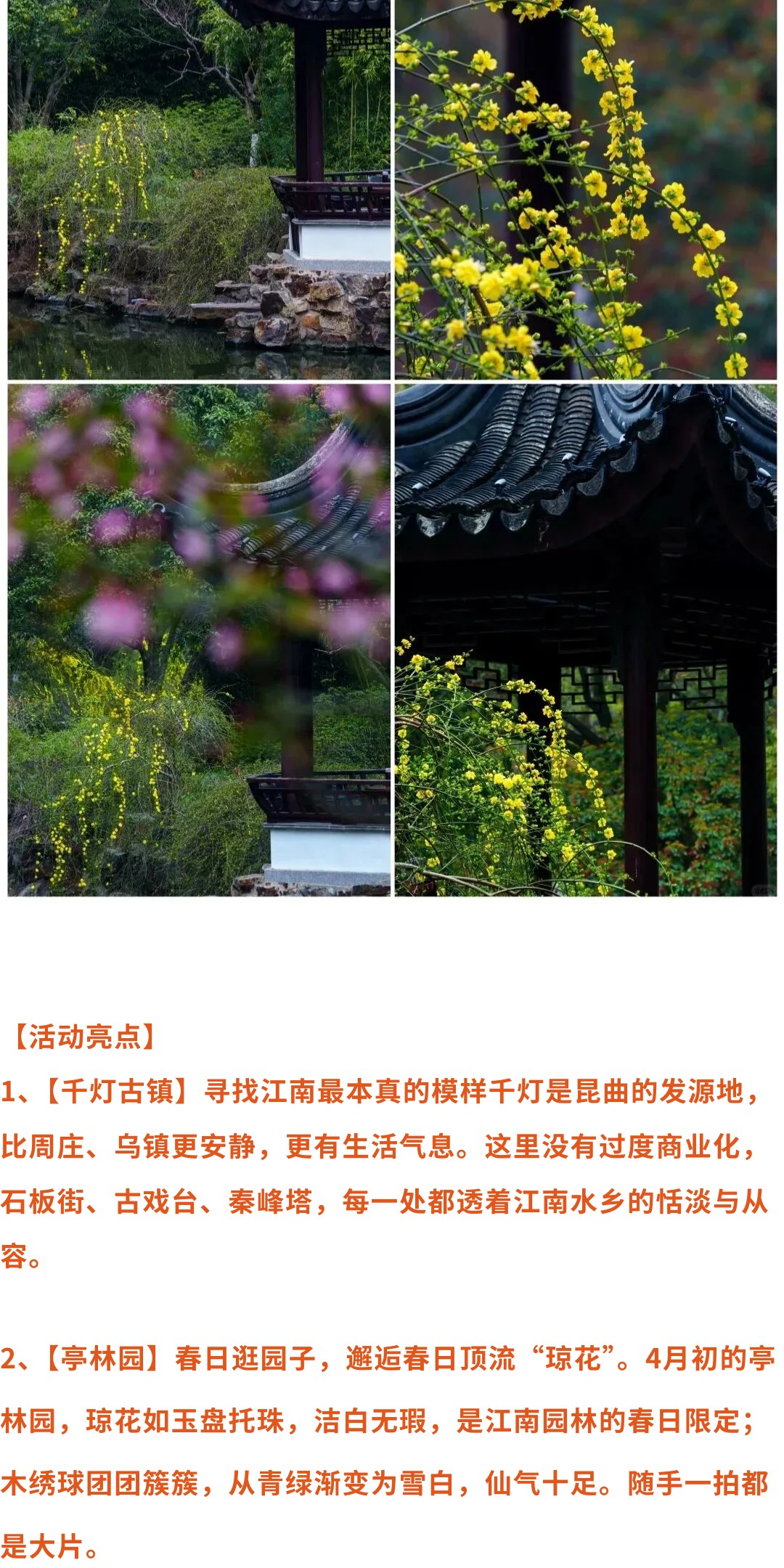 show_692223227_1775113931278_slice_16.jpg show_692223227_1775113931278_slice_16.jpg