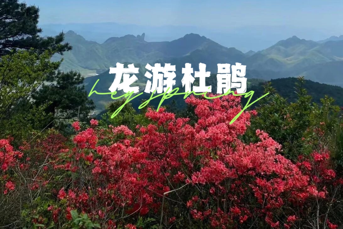 【衢州龙游|休闲2天】5月3日-4日，六春湖万亩杜鹃怒放，药王山吸氧，水亭门夜游。