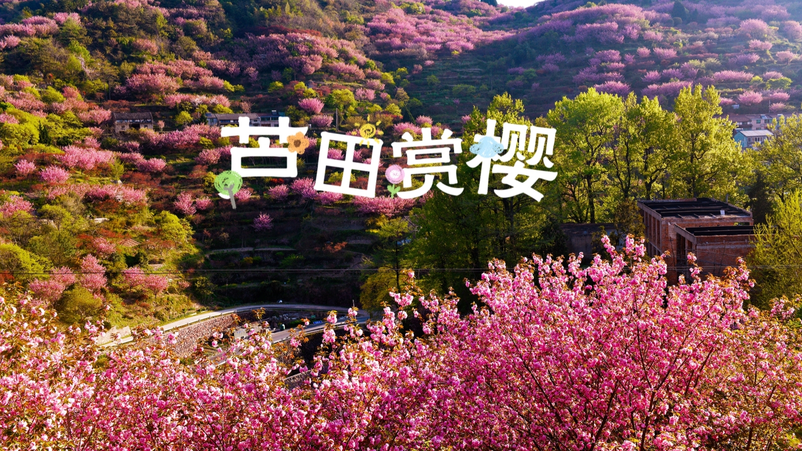 【余姚|徒步1天】4月18日（周六），四明山脉小众徒步线-芦田晚樱，打卡“四大连池”，寻熊猫绿樱。