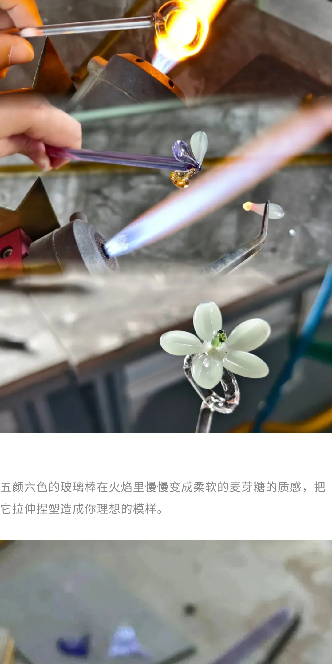 show_693472215_1775696269895_slice_16.jpg show_693472215_1775696269895_slice_16.jpg