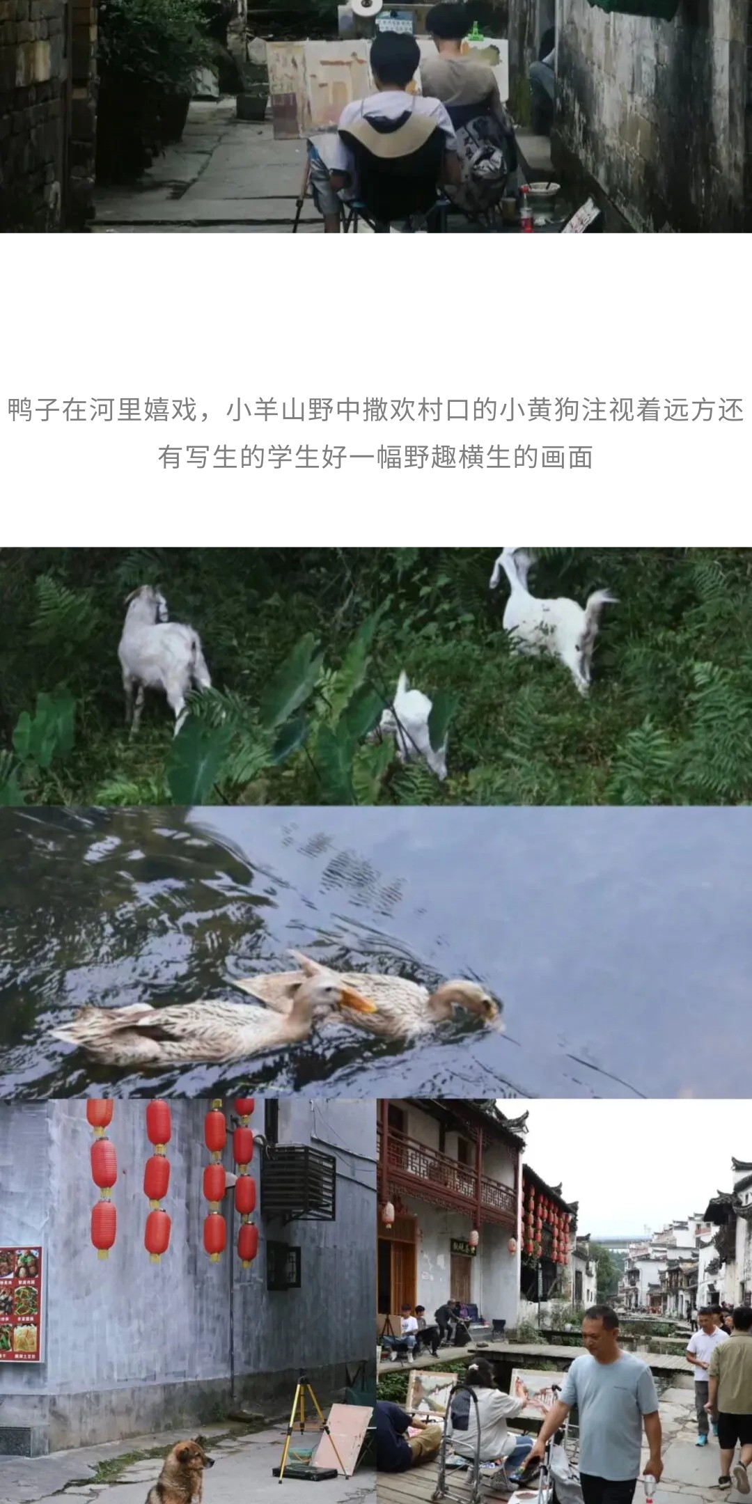 show_693472215_1775696269895_slice_25.jpg show_693472215_1775696269895_slice_25.jpg