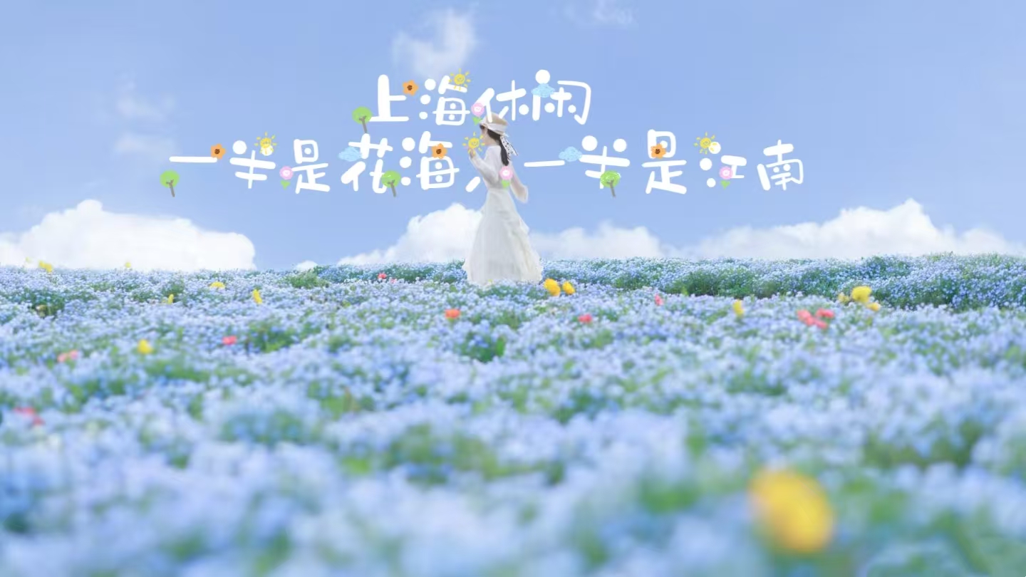 【上海|休闲1天】4月19日（周日），梦幻蓝色喜林草开爆了！朱家角古镇漫游吃美食，花海与古镇皆不负。