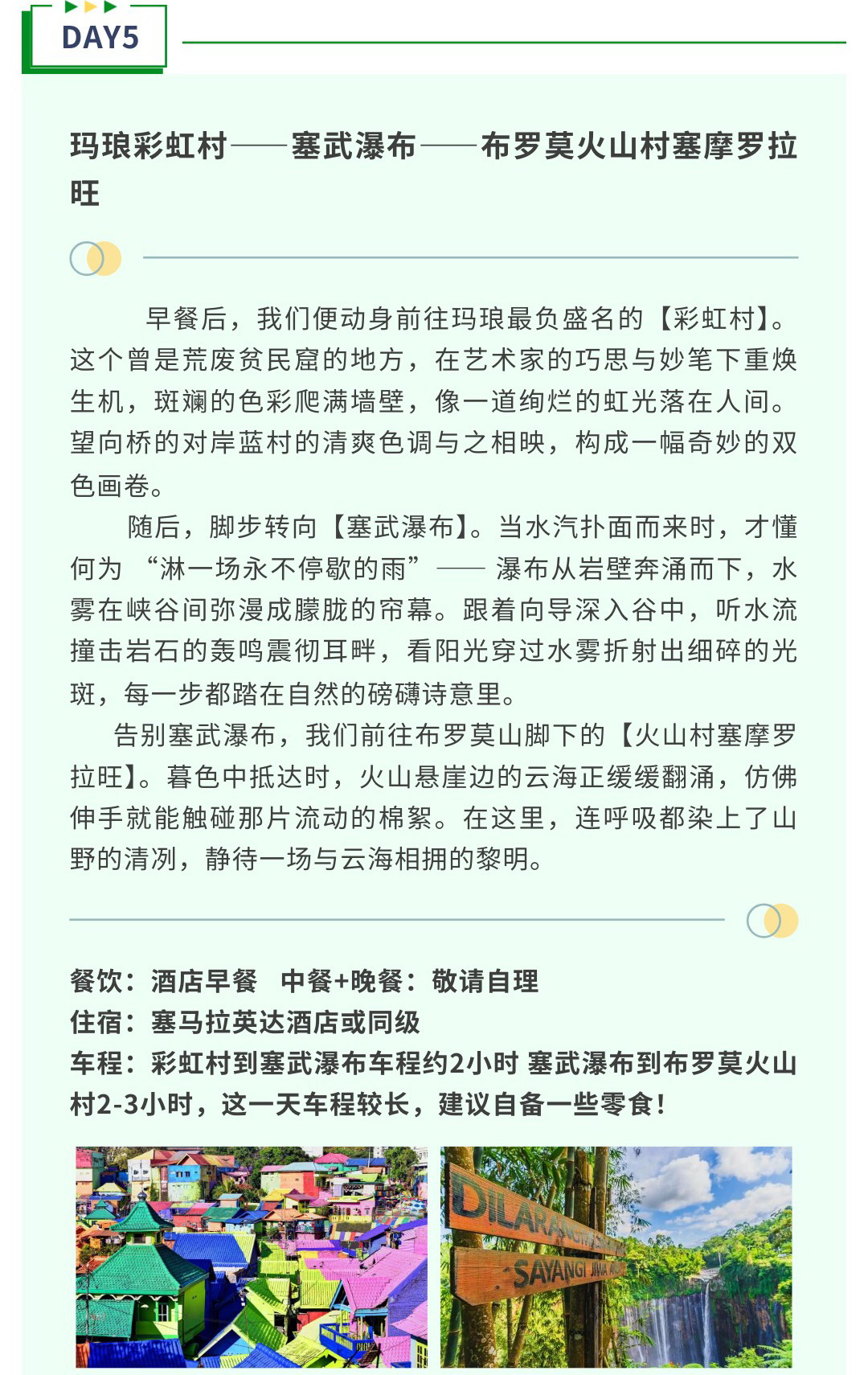 D5.jpg
