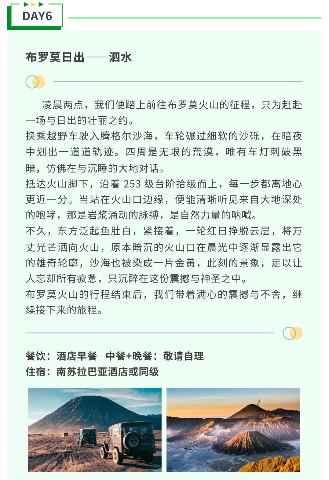 D6.jpg