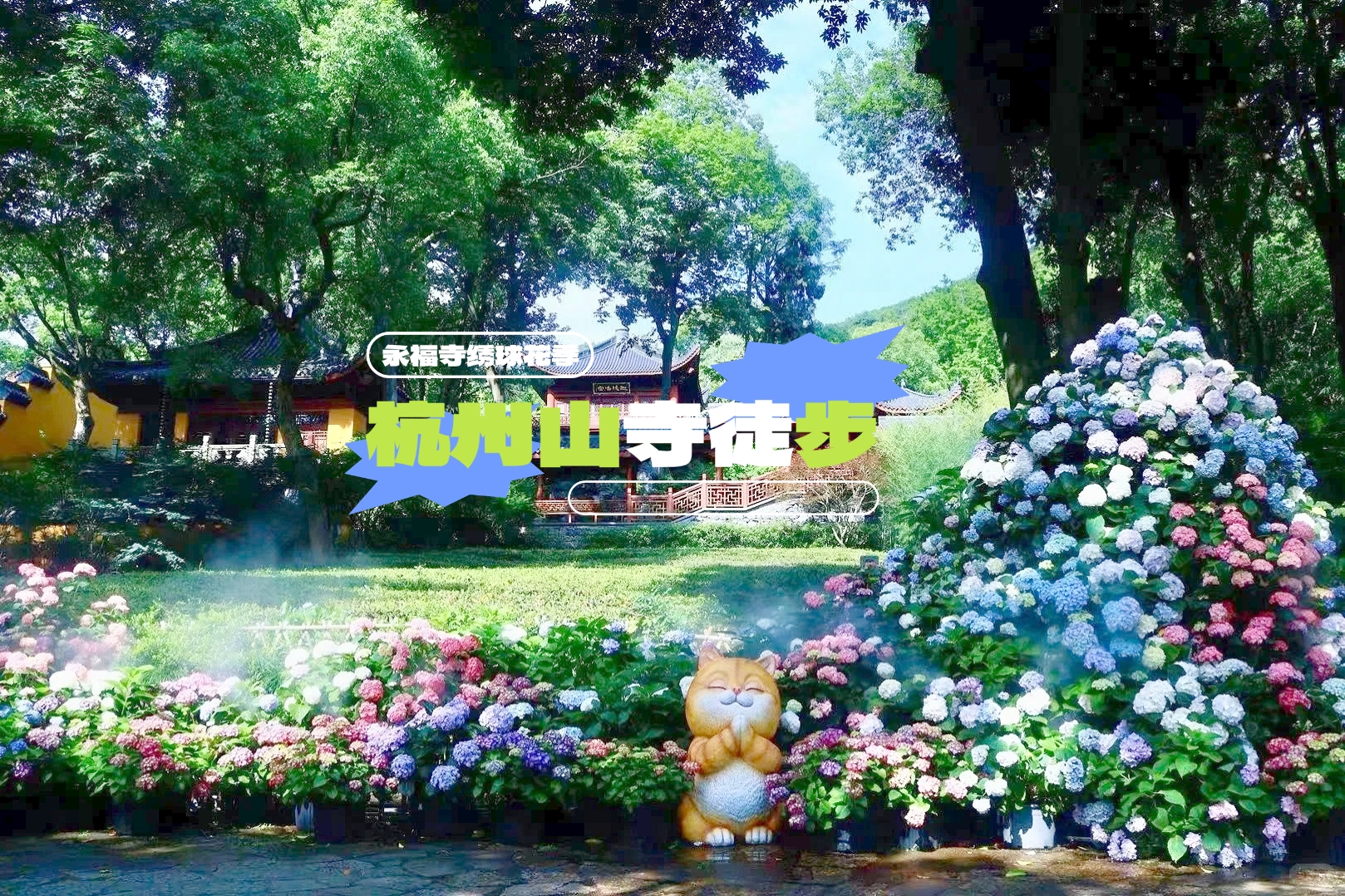 【杭州|徒步1天|少量余位】6月7日（周日）永福寺的绣球花开了！徒步韬光寺-飞来峰-灵隐寺，山寺禅意徒步一日游~