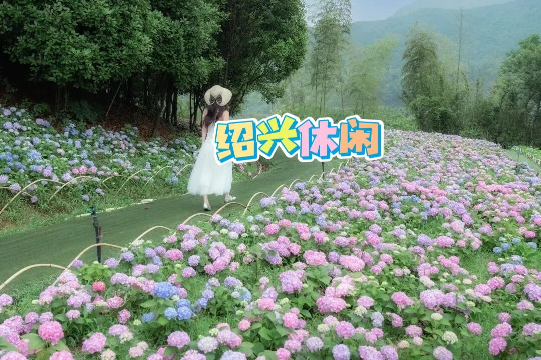 【绍兴休闲|1天|少量余位】6月6日（周六）闯入绣球花“莫奈花园”！走八字桥街区感受老绍兴风情，花海古桥休闲漫游~